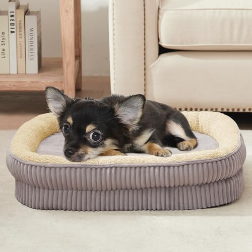 DEBANG HOME Orthopädisches Hundebett für Welpen, extra kleine Hunderassen, ovales Katzenbett, hochdichtes Schaumstoff-Hundesofa, Haustier-Couch-Bett mit vierseitiger Nackenrolle, Abnehmbarer,