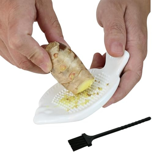 Norhogo Keramik Reibe, Keramik Ingwer Reibe, mit Bürste geliefertKnoblauchreibe Obstreibe Gemüsereibe Wasabireibe Für Ingwer Knoblauch Zwiebel (fischförmig)
