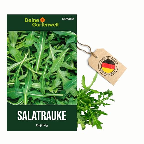 Salatrauke Einjährig Samen - Eruca sativa - Salatraukesamen - Gemüsesamen - Saatgut für 200 Pflanzen