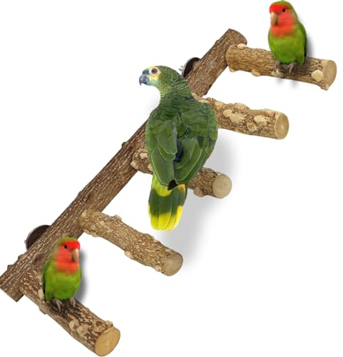 QeeHeng Vogelständer, Papageien-Sitzstange, Naturholz Vogelsitzstangen Gestuft, Spielzeug Vogelkäfig-Zubehör für Kleine, Mittelgroße Papageien, Wellensittiche, Aras, Liebesvögel