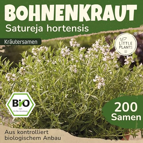 Little Plants BIO Bohnenkraut Samen 200 Bohnenkrautsamen Sommer Kräutersamen Samenfest für Kräutergarten Kräuter Samen Küchenkräuter für Küche, Balkon und Garten