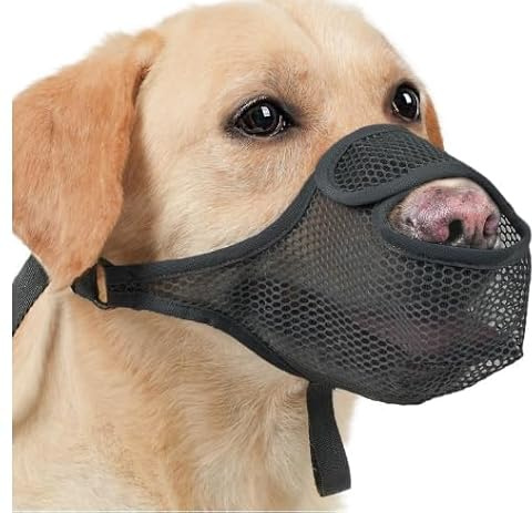 ZYEKIU Maulkorb Mittlere Hundes, Nylon Maulkorb Für Hundes, Maulkorb Kleine Hunde Netz, Maulkorb für Große Hunde Einstellbar, Maulkorb Hund Atmungsaktiv, für Kleine, Mittlere （M, Schwarz
