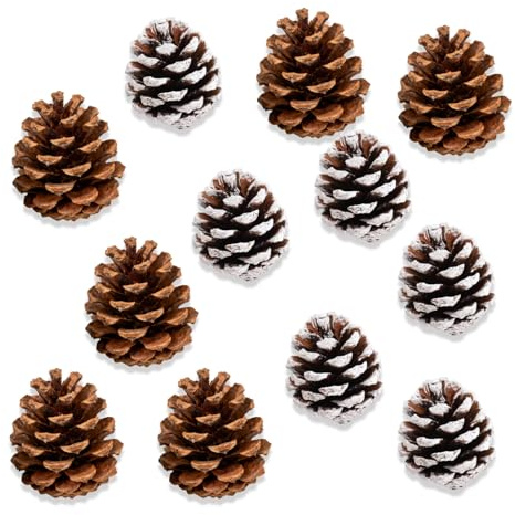 ElevaPulse Weihnachtsdeko Tannenzapfen 50 Stück, ca. 2-3cm Natur Kiefernzapfen handverlesen, DIY Weihnachtsdekor – Weihnachtsbaum, Tischdeko & Outdoor Winter Dekoration