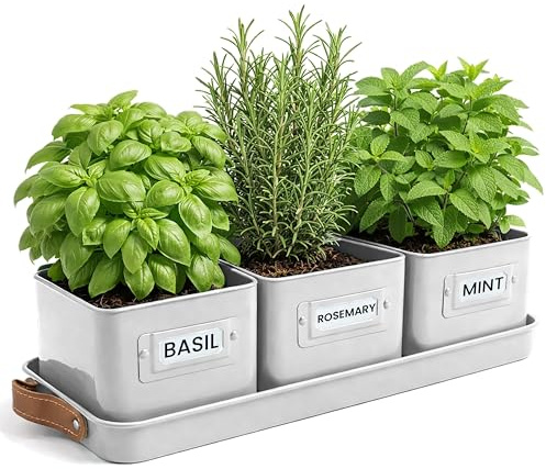 Green Thumbz 3 STK. Kräutertopf - Kräutertöpfe für Deinen Kräutergarten und Fensterbank Innen Dekoration - Basilikum Topf mit Ledergriffen & Untersetzer - Küchenkräuter Topf (Warmer Stein)