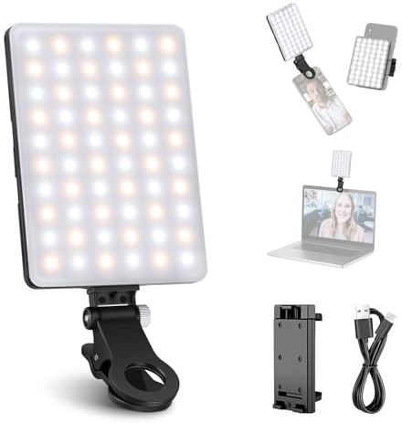 NEEWER Basic Clip On Selfie Licht kompatibel mit iPhone, 2000mAh wiederaufladbares LED Videolicht mit Handy Clamp für Computer Webcam, Laptop, Zoom Videokonferenzen, Make up Fotografie, NL-60AI