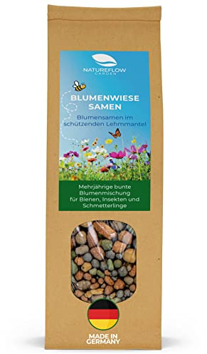 Wildblumensamen mehrjährig winterhart 400g – Blumenwiese Samen im Lehmmantel für 20m², Bienenwiese Saatgut Made in Germany – Blumensamen Mischung 40+ Arten