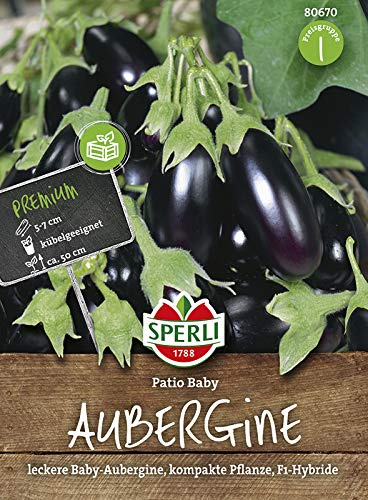 Aubergine Patio Baby | Auberginensamen von Sperli-Samen
