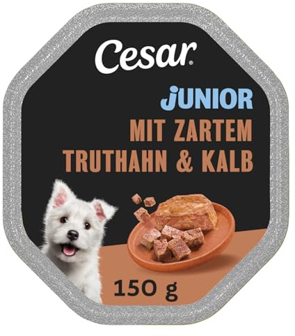 Cesar Hundefutter Nassfutter Junior für Welpen und Junge Hunde <1 Jahre mit Truthahn & Kalb in Pastete, 14 Schalen (14 x 150g), 2100 g
