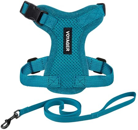 Voyager Step-in Lock Katzengeschirr und reflektierende Katzenleine mit Neoprengriff by Best Pet Supplies - Unterstützt kleine, mittelgroße und große Katzenrassen, Türkis, Size XS - 1,5 m