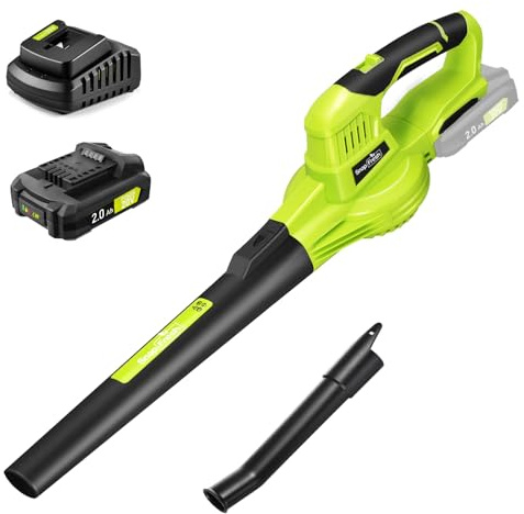 SnapFresh Laubbläser Akku-Laubbläser Kabelloser 20V 210 km/h 240m³/h / 2-Luftgeschwindigkeit/mit Akku und Ladegerät/Leicht Kompakte 1,2kg für Garten Hof Rasenpflege (Grün)