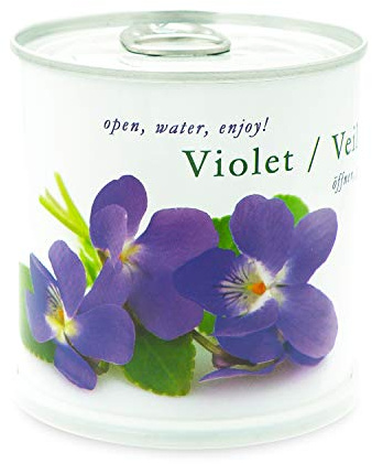 MacFlowers Veilchen - Blumen in der Dose