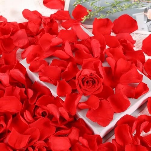 Getrocknete rote Rosenblätter, Konfetti für Hochzeit & Brautparty | Natürliche konservierte Blütenblätter, Tischdekoration, romantische Abende, Verlobungsfeier, Konfetti für Brautparty