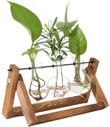 PUWOWYE Propagation Station Vintage, Ableger Pflanzen Glas mit Holzständer, 3 Zwiebel Vase, Glas Reagenzgläser für Blumen, Hydroponik Blumenvase, Geschenke für Frauen Männer Geburtstagsgeschenk