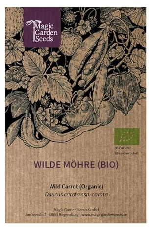 Wilde Möhre (Daucus carota ssp. carota) ca. 1000 Bio-Samen | gute Bienenpflanze | Cool Flower | zweijährige Wildblume | Schnittblume | für den naturnahen Garten | Wildgemüse