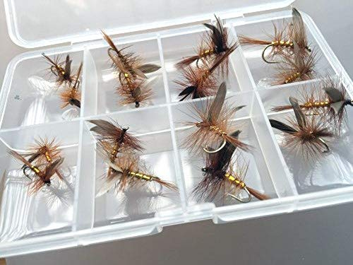 Wickham Fancy Forellenangeln-Zubehör, Trockenfliegen-Set, 16 Stück , inkl. Fliegenbox mit Clip-Verschluss