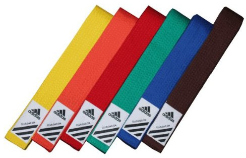 adidas Budogürtel/Kampfsportgürtel Club orange, 260 cm