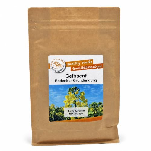 Gärtner's erste Wahl! Bobby-Seeds Gelbsenf 1 kg für ca. 200 m², Saatgut ohne Gentechnik, Gründüngung für schwere Böden und Bodenkur im Garten, schnellwüchsiger Gründünger gegen Nematoden