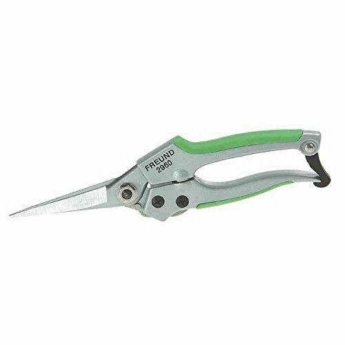 Freund Victoria Garten Bonsaischere (Länge 20 cm, schneidet bis ø 15 mm, Klingen aus Carbonstahl, Griffe ergonomisch) 1030645