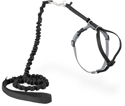 PetSafe Come with Me Kitty Geschirr und Bungee-Leine, Geschirr für Katzen, Größe M, Schwarz/Silber