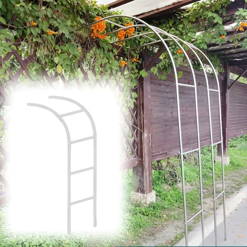 GUOGLZ Rankhilfe Halbbogen, Verzinkt RosenHalbbogen, GartenTorbogen Metall Stabil Rosenbögen, Für Hochzeit Partys(160 * 24ocm(5.2 * 7.9ft))