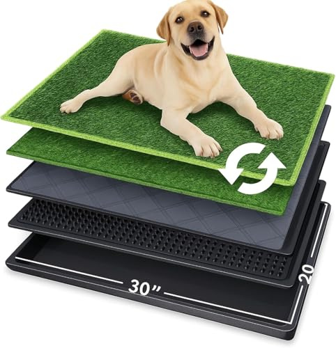 Hundetoilette 76×51 cm – 5-Schicht Hundeklo mit Tablett & 2 Ersatz Kunstrasen – Geruchsfrei, rutschfest, Waschbar – Für Zuhause, Balkon, Indoor & Outdoor