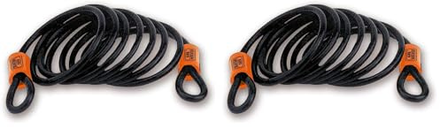 Burg Wächter Spiralkabel mit Zwei Ösen, Sicherheitskabel für Fahrrad, Motorrad, E-Scooter, Gartenmöbel, Diebstahlschutz, Universalseil 750 250, Schwarz, 2,5 m (Packung mit 2)