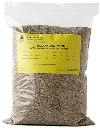 R&R SHOP - Robuster Rasensamen, Bermudagras Cynodon Dactylon, Ursprung USA, Hitze- & Trockenheitsresistent, Trittfest (900gr-90m2)
