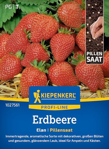 Kiepenkerl Profi-Line Erdbeersamen Elan 1027561 - immertragend - aromatische Sorte - dekorative & große Blüten - Pillensaat, Erdbeerpflanze, Früchte