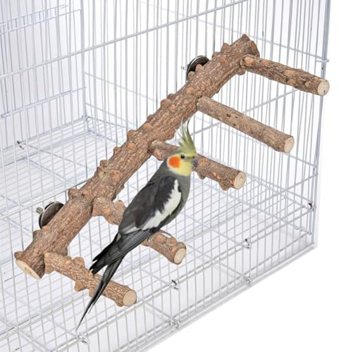 Vogelspielplatz, 12,2 Zoll Papageienholzständer für Käfig, Naturholz-Vogelsitzständer, Vogelsitzstangen, Vogelplattform, Vogelkäfigzubehör