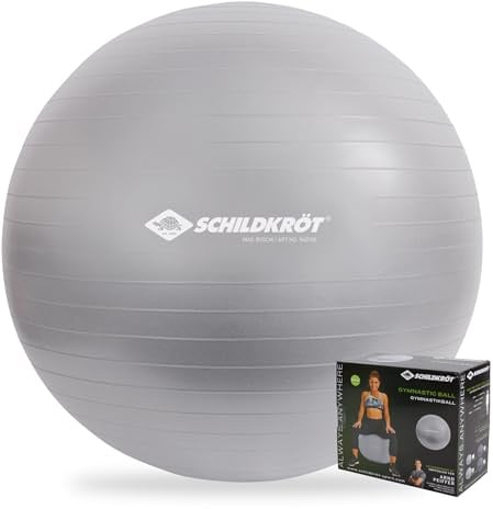 Schildkröt Unisex – Erwachsene træningsbold 65 cm Gymnastikball, Silber, 65cm - für Körpergrößen 161 bis 175cm EU
