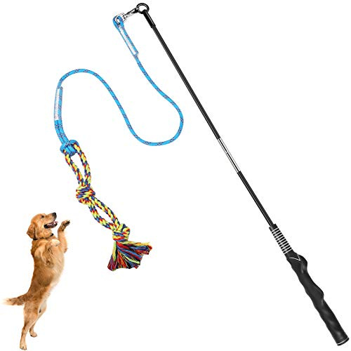 DIBBATU Hundespielzeug, Interaktive Teaser-Zauberstab für Hunde, Tauziehen und Outdoor-Übungen, Tether-Lure-Spielzeug mit Kaureif für kleine Hunde