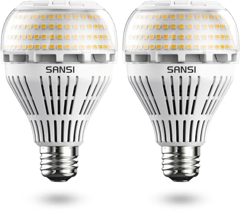 SANSI E27 LED Lampe, 22W ersetzt 200W Glühbirne, Edison-Schraubgewinde E27 Birne, 3000 Kelvin Weiß, 3000 Lumen Superhell LED Leuchtmittel für Küche, Wohnzimmer, Werkstatt, Nicht dimmbar, 2er-Pack