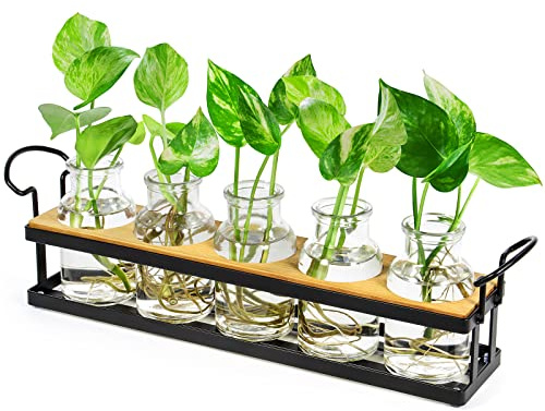 Pflanzenterrarium mit Metallständer, Glas Reagenzgläser mit Metallständer Für Blumen Mit Ständer Holz -Pflanze im Glas Propagation Station Für Deko Wohnzimmer Outdoor Taufe Schreibtisch deko