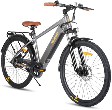 HILAND 26 Zoll Elektomountainbike mit Gepäckträger, 250W Motor, 36V 7.8Ah Akku, Elektrofahrrad mit Scheibenbremsen vorne und hinten, E-Bike für Damen und Herren, Grau