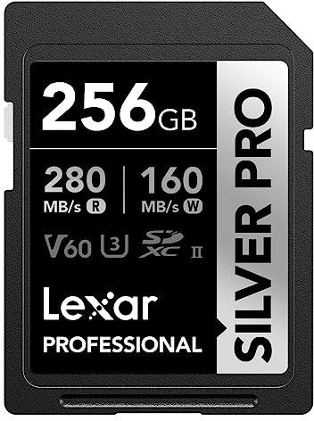 Lexar SILVER PRO SD Karte 256GB, UHS-II SD Speicherkarte, V60, U3, C10, bis zu 280MB/s Lesen, 160MB/s Schreiben, SDXC-Karte für DSLR/Kamera/Fotografen/Videofilmer/Enthusiasten (LSDSIPR256G-BNNAA)