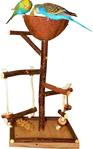 Vogelgaleria® Vogelspielplatz Wellensittich Spielplatz Kletterbaum Vogel Zubehör mit Futternapf aus Kokos – artgerechtes Klettern & Knabberspaß, stabil & langlebig | Beschäftigung für Vögel
