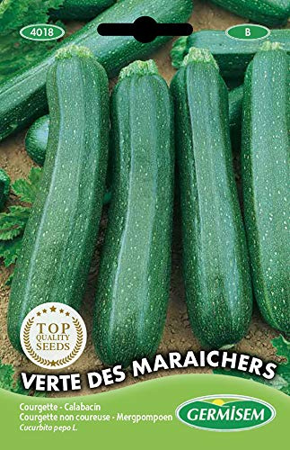 Germisem Zucchini VERTE DES MARAÎCHERS, mehrfarbig, EC4018