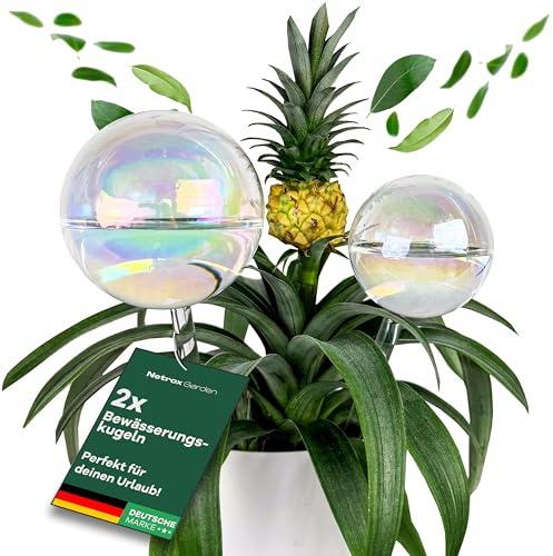 Netrox 2er Set Bewässerungskugeln Glas 400ml,180ml – automatische Pflanzenbewässerung für Pflanzen, Blumen & Garten – ideal im Urlaub – Bewässerung, Bewässerungssystem Topf, Wasserspender