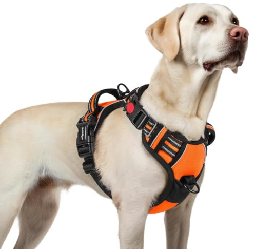 rabbitgoo Hundegeschirr Grosse Hunde Einfach Anlegen, L, Orange | Anti Zug, Ohne Kopfdurchzug, Halsverschluss mit Sicherung, 2 D-Ringe, Weich Gepolstert, Reflektierend für Gassi & Training