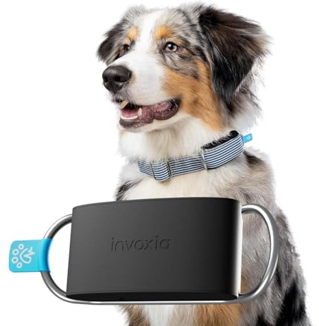 Invoxia Minitailz – Nr. 1 GPS und Gesundheitstracker für Hunde – Fluchtwarnungen, Atemscan – Echtzeit Ortung, über USB wiederaufladbar, virtuelle Zone und Zaun – Mini-Tracker