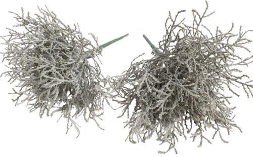 Botanic-Haus künstlicher Calocephalus (Stacheldraht Pflanze/Silberkörbchen) Farbe: grau (2 Stück)