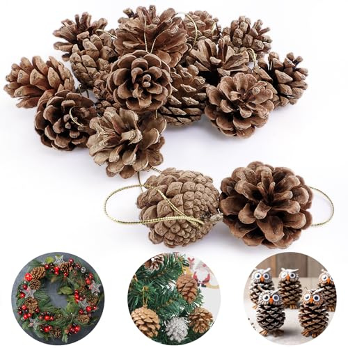 ZWLIYCHN Weihnachten Tannenzapfen 18 Stück, Natürlich Tannenzapfen Deko mit Schnur, Kiefernzapfen Weihnachten Party von Bäumen Kränzen für DIY Weihnachtsbaum Herbst Winter Dekoration