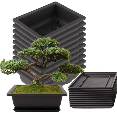 NAMYEUT Bonsai Trainingstöpfe 10 Stück, 23 x 17cm mit Untersetzer, Plastik Blumentopf für Wohnzimmer, Büro, Yard und Garten
