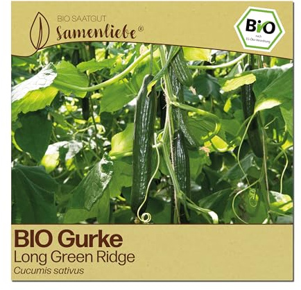 Samenliebe BIO Gurken Samen | Salatgurke Long Green Ridge - sehr lang - samenfestes BIO Saatgut