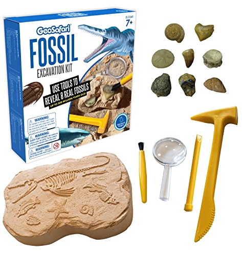 Learning Resources GeoSafari Fossilien-Ausgrabungsset, ausgrabungsset für Kinder, Edelsteine für Kinder, Dino Ei, Cozmo, Dino Eier zum ausgraben, Dino ausgrabungsset, fossilien ausgrabungsset Kinder