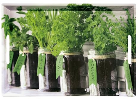 Kesper Serviertablett, 77334, Motiv: Herbs, Maße: 50 x 35 x 4, 5 cm