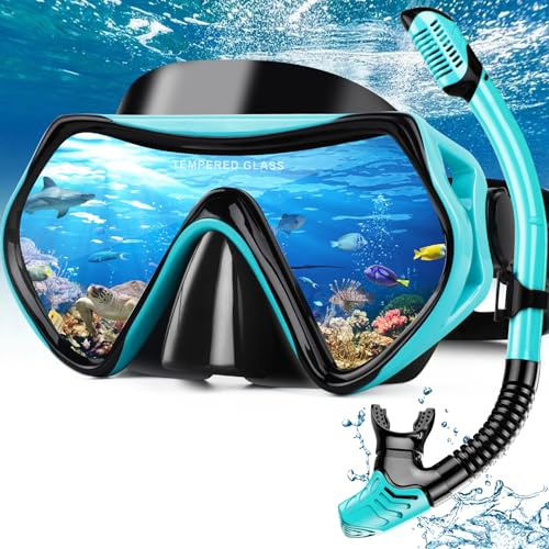 Hydomi Schnorchelset Erwachsene Anti-Fog Taucherbrille mit 180° Panorama Sichtfeld, Dry Top Schnorchel 3-Kanal System, Auslaufsichere Tauchmaske aus gehärtetem Glas für Tauchen Schwimmen
