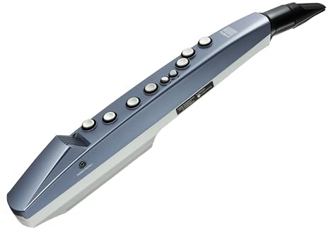 Roland AE-01 Aerophone mini | Kompaktes digitales Blasinstrument | Einfach zu lernen | 6 hochwertige Sounds | Integrierter Lautsprecher | Kopfhöreranschluss | Bluetooth-kompatibel