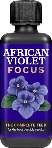 Afrikanisches Veilchen, Focus, 300 ml