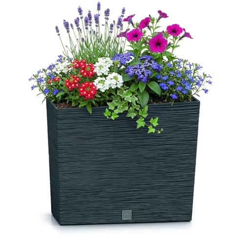 Prosperplast Blumenkasten mit Einsatz | aus robustem Kunststoff | Anthrazit | wetterfest und UV-beständig | 58 x 18 x 49,8 cm | ideal für Garten, Terrasse und Balkon